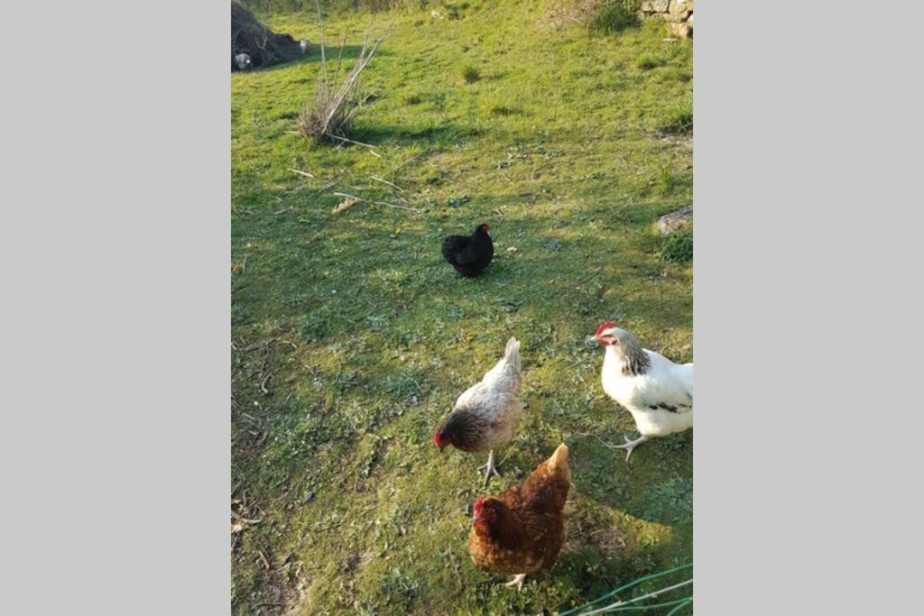 Sejour A La Campagne Διαμέρισμα Placy Εξωτερικό φωτογραφία